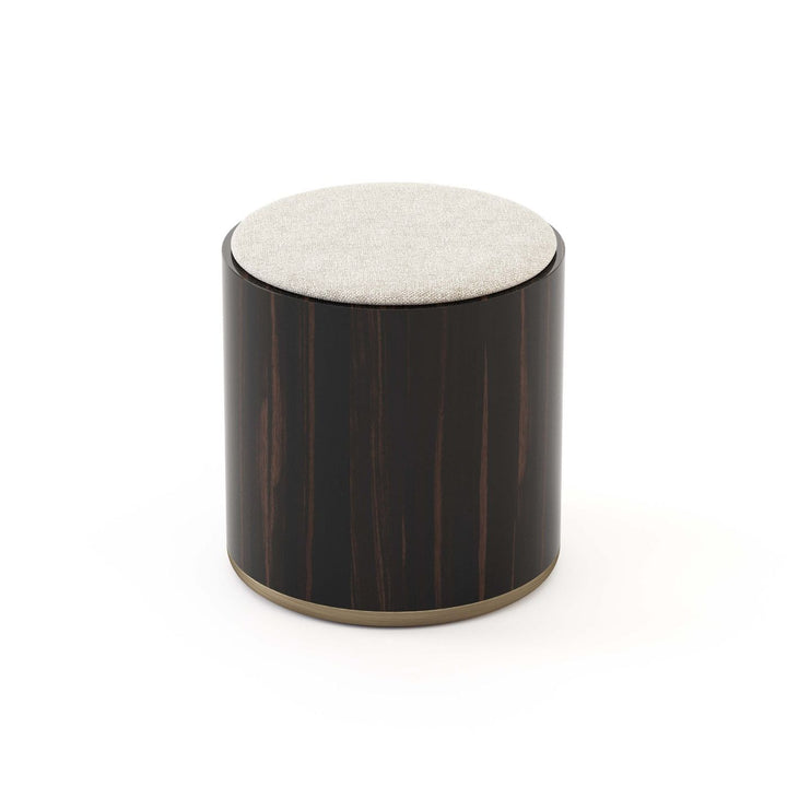 Stylish Club Her Hocker