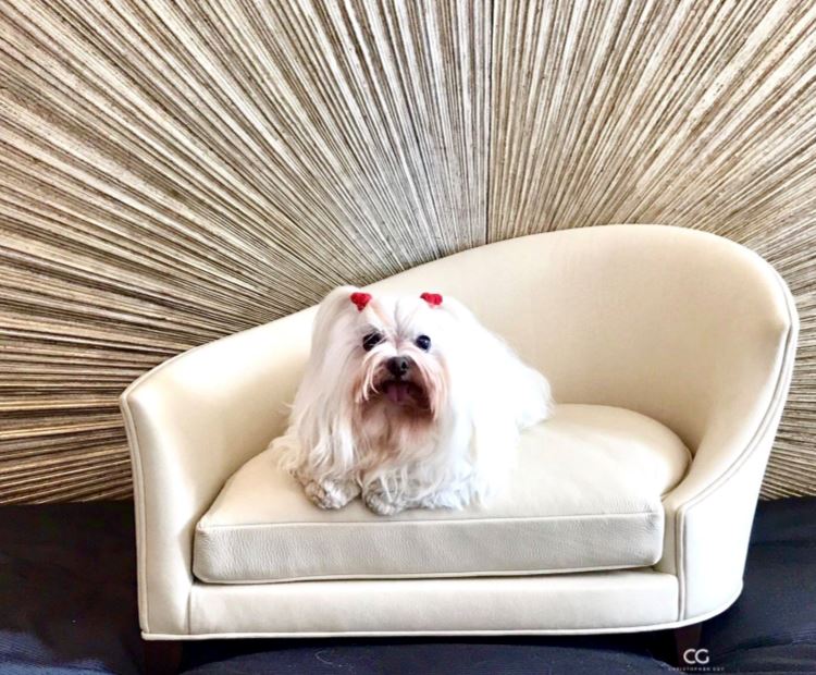 Christopher Guy handgearbeitetes Hundebett 60-0498 von Instylior Hundebetten Christopher Guy 